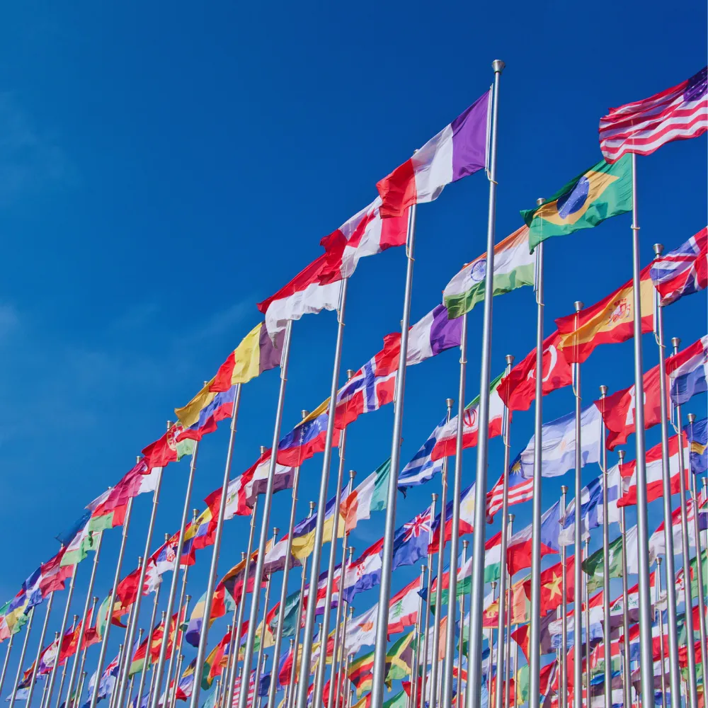 Numerous international flags on tall poles wave against a clear blue sky, symbolizing global support.